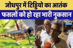 Jodhpur में फैला टिड्डियो का आतंक, फसलों को हो रहा भारी नुकसान Jodhpur में फैला टिड्डियो का आतंक, फसलों को हो रहा भारी नुकसान