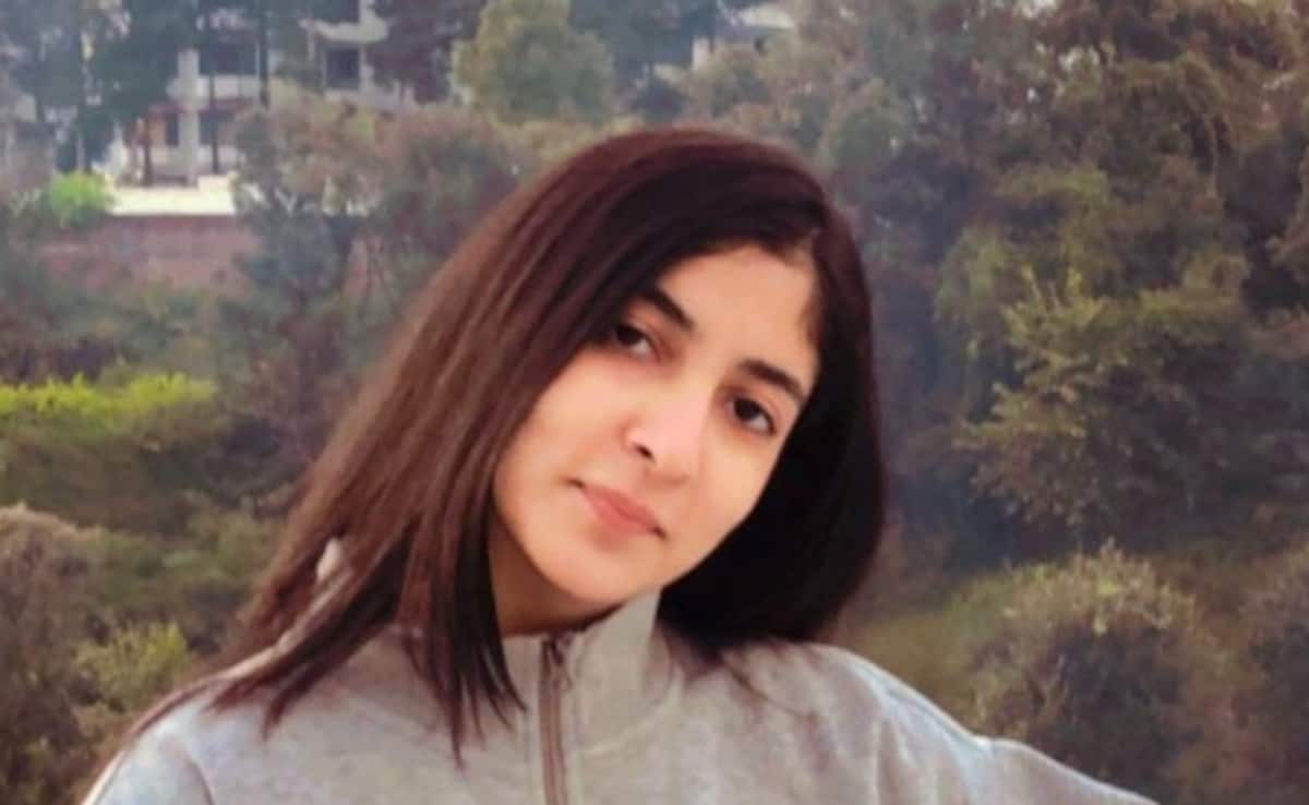 "She Looked Happy On CCTV, What Changed In 15 Mins?" Pilot's Uncle To NDTV