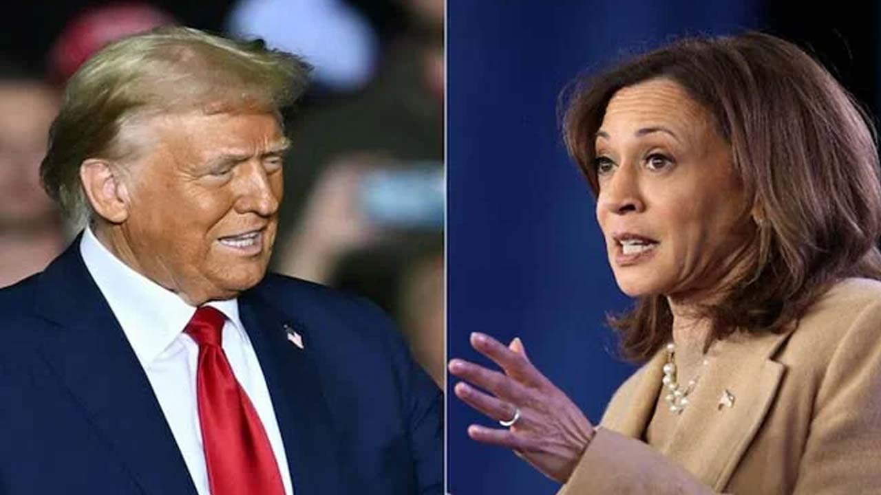 "We Are Going To Win": Democratic Party Member On Harris-Trump Contest