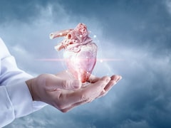 Heart Patients Should Follow These Measures During The Air Pollution Crisis
