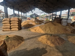 अन्नदाताओं की टूटी उम्मीदें ! बुरहानपुर मंडी में नहीं बिका एक दाना सोयाबीन