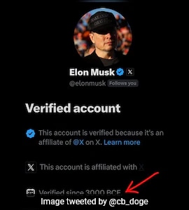 Musk Jokes About Being a 
