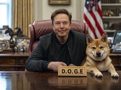 NDTV Explainer: What Is Elon Musk's DOGE And Why It Has Americans Worried?