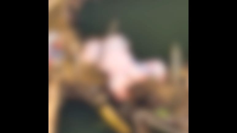 दर्दनाक: गर्म तेल की कड़ाही में गिरा ढाई साल का मासूम, अस्पताल पहुंचने से पहले ही रास्ते में तोड़ा दम