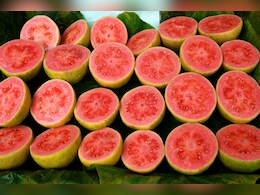 रोजाना खाली पेट अमरूद खाने से क्या होगा? रोजाना अमरूद खाने के 10 बड़े फायदे और नुकसान