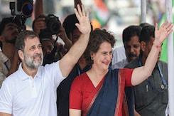 Debutant Priyanka Gandhi Breaks Rahul Gandhi's Record Of 3.65 Lakh Vote Margin In Wayanad Bypoll Debutant Priyanka Gandhi Breaks Rahul Gandhi's Record Of 3.65 Lakh Vote Margin In Wayanad Bypoll