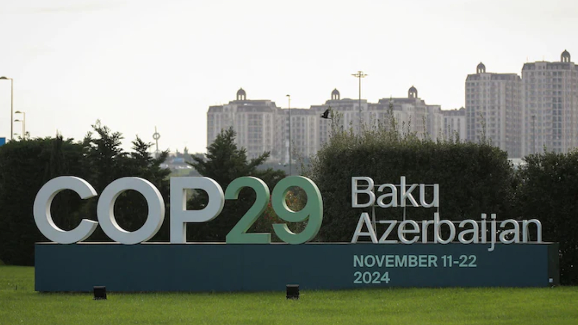 What To Expect From This Year's COP29 Climate Summit