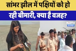 Sambhar Lake Botulism : सांभर झील में पक्षियों को हो रही बीमारी, क्या है वजह? Sambhar Lake Botulism : सांभर झील में पक्षियों को हो रही बीमारी, क्या है वजह?