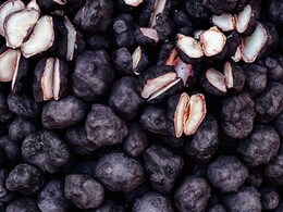 Jhalawar News: सर्दियों के आने के साथ ही खिल उठी झालावाड़ के सिंघाड़ों की फ़सल, प्रदेश के बाहर भी भारी डिमांड 