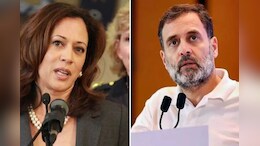 अमेरिका में कमला हैरिस का हुआ राहुल गांधी जैसा हाल! 235 साल बाद भी महिला को मौका नहीं, क्या रहीं हार की वजहें