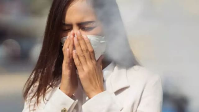 Does Air Pollution Affect Your Brain Health? Find Out