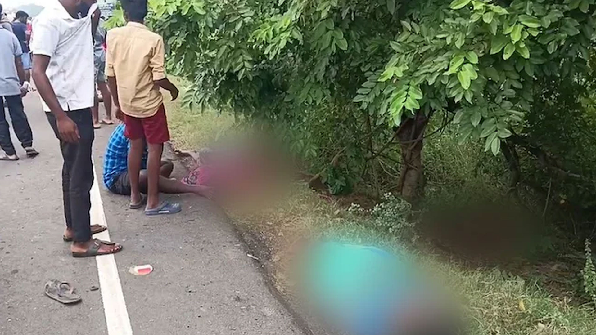 5 Women Grazing Cattle Killed After Car Rams Them Near Chennai