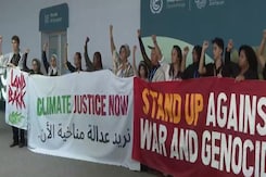 Behind-The-Scenes Chaos: Activists Sound Alarm At Cop29 In Azerbaijan Behind-The-Scenes Chaos: Activists Sound Alarm At Cop29 In Azerbaijan