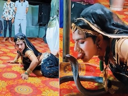 काली नागिन बनने बावड़ी..गाने पर बलखाते हुए नाग को चूमने लगी महिला, वीडियो देख लोग बोले- जरा संभलकर दीदी काली नागिन बनने बावड़ी..गाने पर बलखाते हुए नाग को चूमने लगी महिला, वीडियो देख लोग बोले- जरा संभलकर दीदी