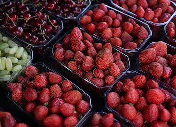 Why Fruits And Dry Nuts Are The Ultimate Power Duo You Must Try Why Fruits And Dry Nuts Are The Ultimate Power Duo You Must Try