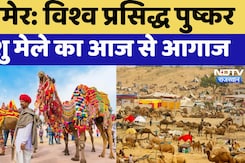 Pushkar Fair: विश्व प्रसिद्द पुष्कर पशु मेले का आज से आग़ाज़, दिखेंगी राजस्थानी संस्कृति की झलकियां Pushkar Fair: विश्व प्रसिद्द पुष्कर पशु मेले का आज से आग़ाज़, दिखेंगी राजस्थानी संस्कृति की झलकियां