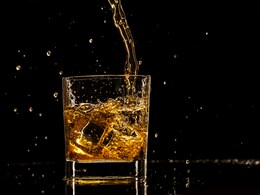 Whisky 101: Everything You Need To Know About This Timeless Spirit Whisky 101: Everything You Need To Know About This Timeless Spirit