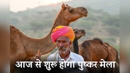 Pushkar Fair 2024: विश्व प्रसिद्द पुष्कर पशु मेले का आज से होगा आग़ाज़, दिखेंगी राजस्थानी संस्कृति की मनमोहक झलकियां&nbsp;&nbsp;