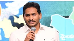 Tomato, Onion Prices Crash, Jagan Reddy Blames Chandrababu Naidu