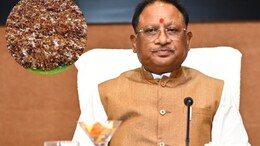 'चींटी की चटनी' के दीवाने हैं CM विष्णुदेव साय! महिला कमांडों की मां से कर दी ये गुजारिश, जानिए क्या है रेसिपी?