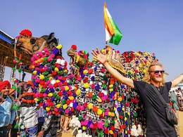 राजस्थान के इस मेले में लगाता है पशुओं का ब्यूटी पार्लर , जहां गाय से लेकर ऊंटों को सजाने का मिलता है हर सामान राजस्थान के इस मेले में लगाता है पशुओं का ब्यूटी पार्लर , जहां गाय से लेकर ऊंटों को सजाने का मिलता है हर सामान