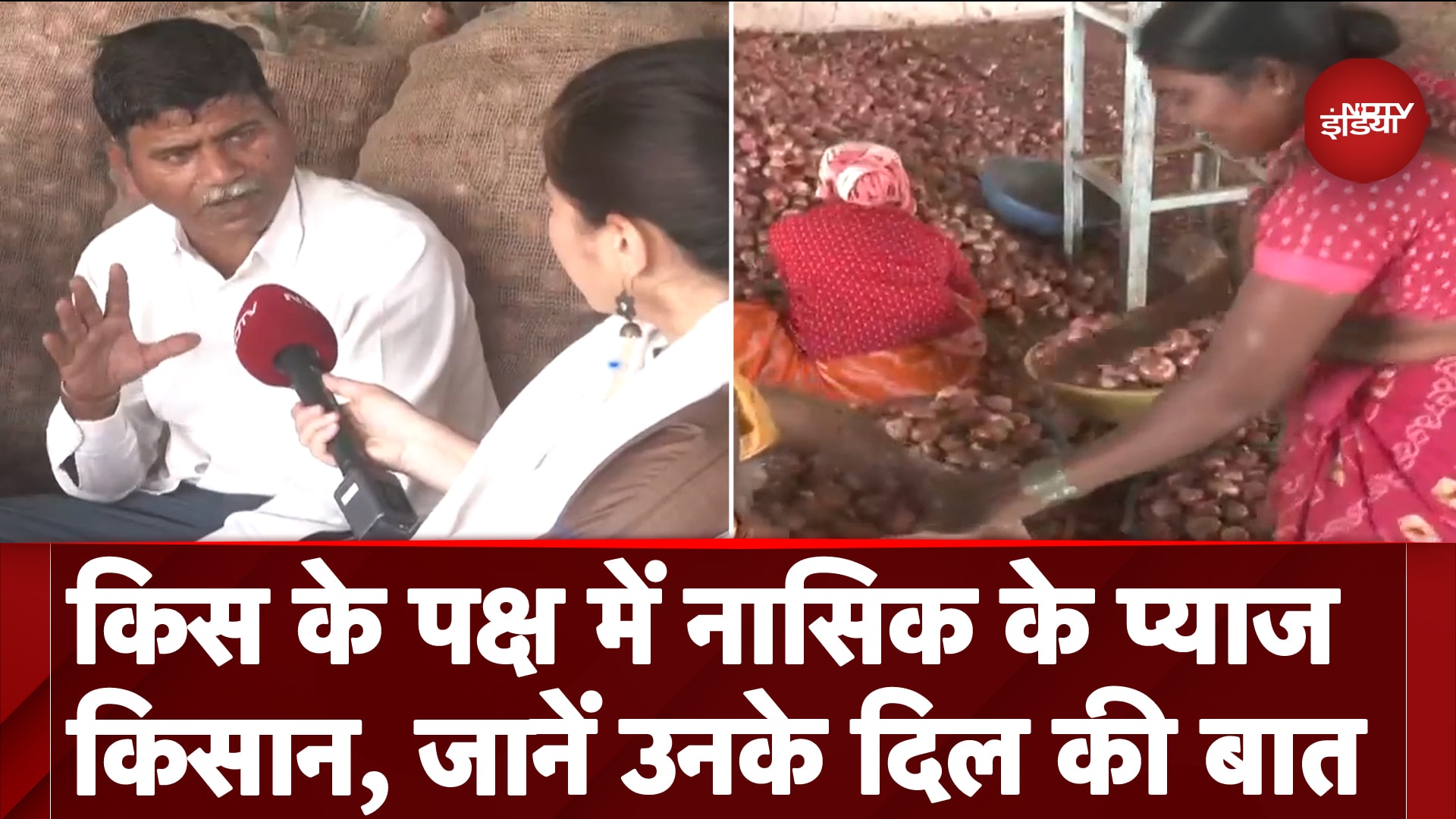 Maharashtra Assembly Elections: किस दल के साथ होंगे प्याज के किसान, Nasik के Farmers ने बताया