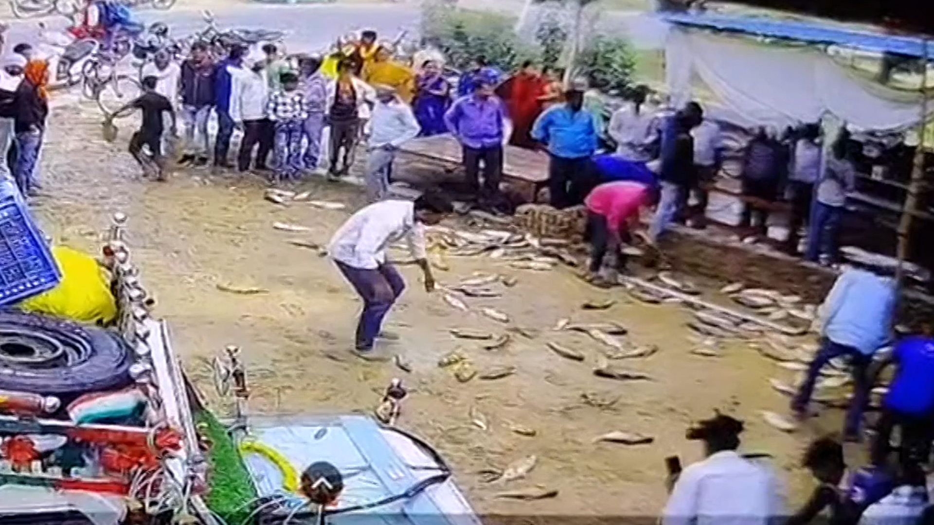 Tempo Full Of Fish Hits Wall In UP, Villagers Start Looting