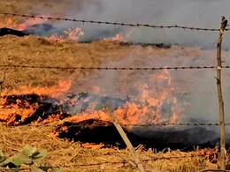 NGT ने एमपी को थमाया नोटिस, सीएक्यूएम से मांगा जवाब, एमपी क्यों बना पराली जलाने में नंबर वन