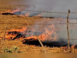 ...तो अब पराली की भी न्यूनतम मूल्य तय करेगी सरकार, प्रदूषण पर लगाम के लिए संसदीय समिति ने की ये सिफारिश