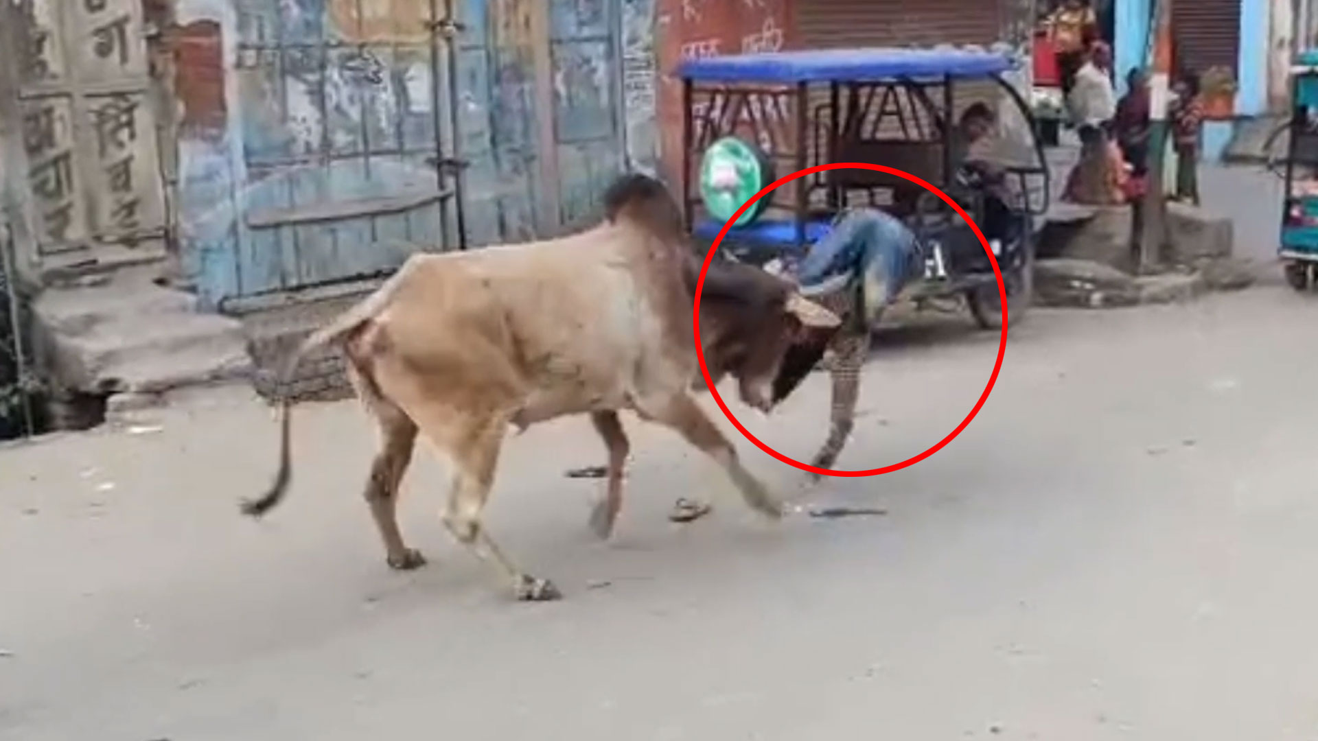 Video: Stray Bull Injures 15 In Uttar Pradesh, Gets Caught After 3 Hour ...