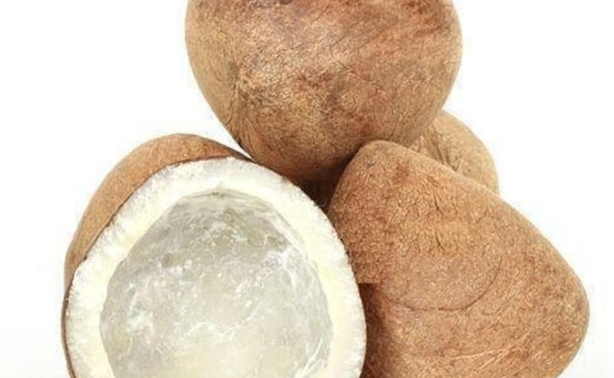 Latest and Breaking News on NDTV Latest and Breaking News on NDTV