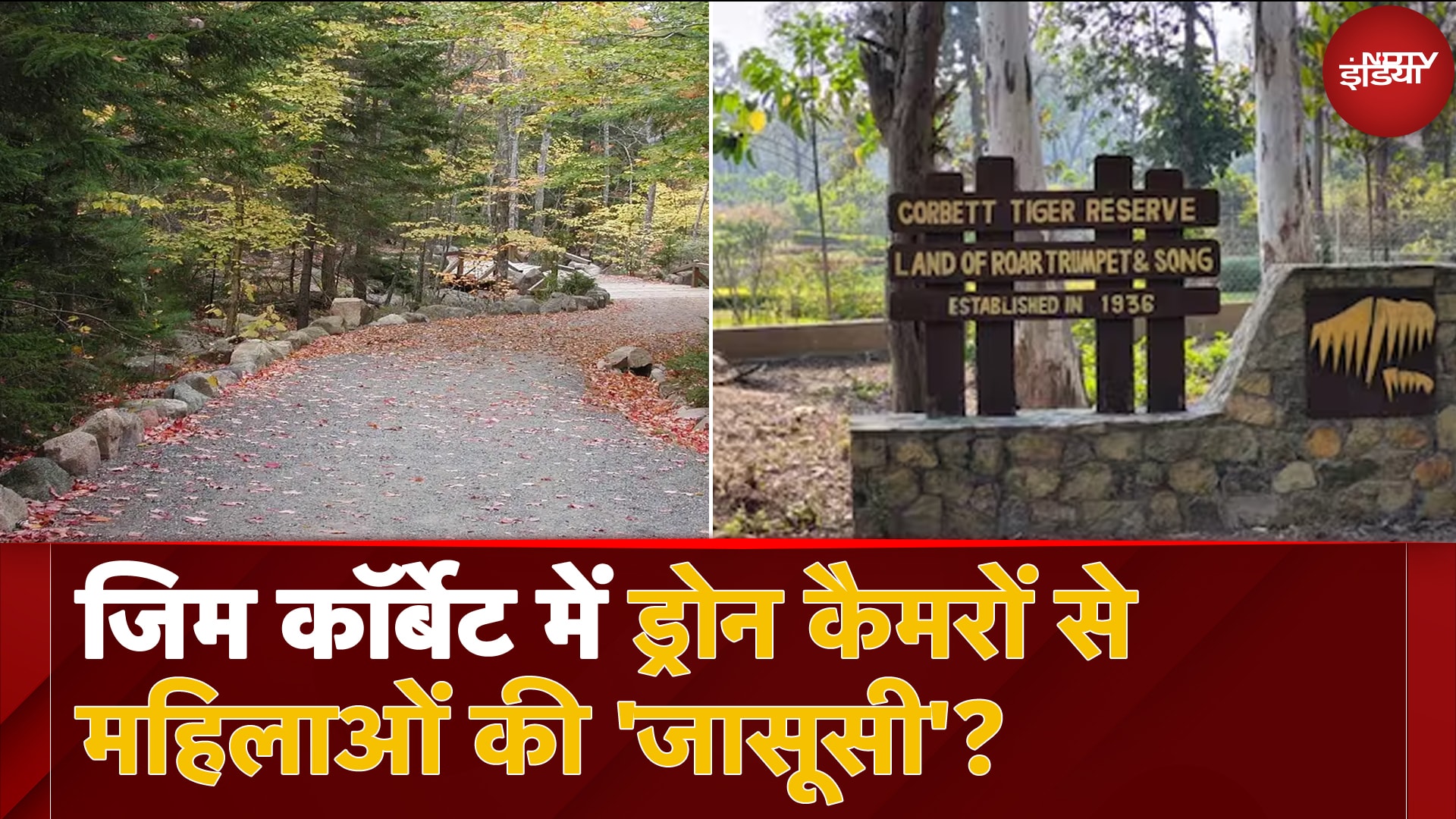 Jim Corbett में Drone Cameras से महिलाओं की 'जासूसी', चोरी-छिपे रिकॉर्ड किए हुए वीडियो वायरल
