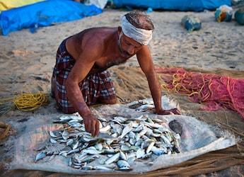 India's Fish Production Doubles To 17.5 Million Tons In A Decade: Fisheries Minister India's Fish Production Doubles To 17.5 Million Tons In A Decade: Fisheries Minister