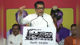 'हे राष्ट्रवादी दिसत असले तरी त्यांची कृत्य...' राज ठाकरे थेट बोलले