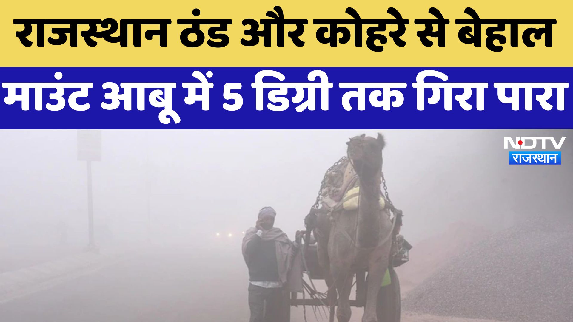 Rajasthan Weather Update: राजस्थान ठंड और कोहरे से बेहाल, Mount Abu में 5 डिग्री तक गिरा पारा