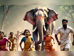 CG Elephants Attack: सूरजपुर में हाथियों का तांडव, भाई-बहन को मार डाला, जान बचा कर भागे लोग CG Elephants Attack: सूरजपुर में हाथियों का तांडव, भाई-बहन को मार डाला, जान बचा कर भागे लोग
