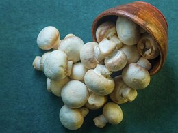 मशरूम को गीले होने से बचाने के लिए इन टिप्स को करें फॉलो, यहां देखें वायरल हैक