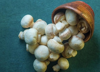 No More Soggy Mushrooms! This Viral Hack Will Help You Cook Them Perfectly No More Soggy Mushrooms! This Viral Hack Will Help You Cook Them Perfectly