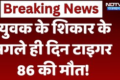Ranthambore Tiger: युवक के शिकार के अगले ही दिन टाइगर 86 की मौत!