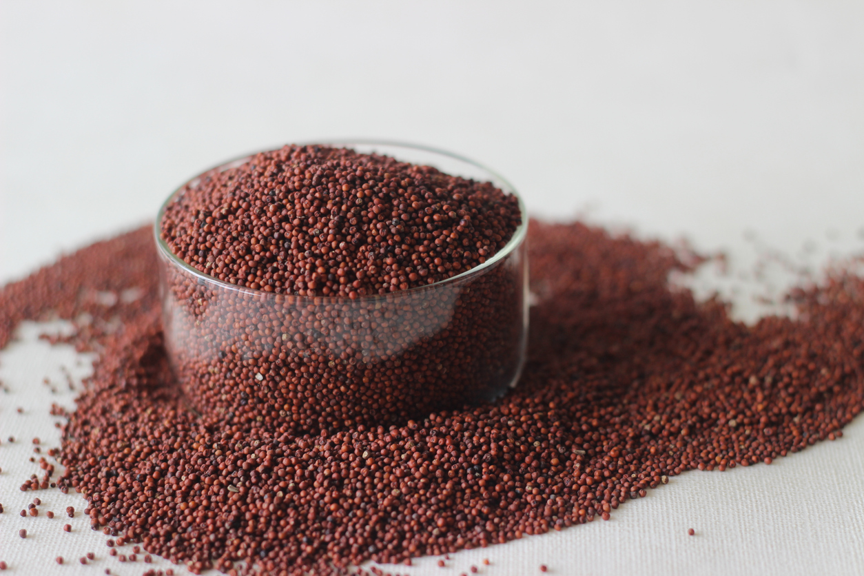 Ragi is rich in fibre and magnesium