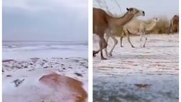 As Al-Jawf Witnesses Its First Snowfall, 5 Destinations To Witness Snowfall In Saudi Arabia