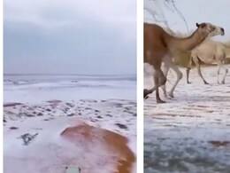 As Al-Jawf Witnesses Its First Snowfall, 5 Destinations To Witness Snowfall In Saudi Arabia