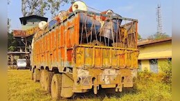 CG : &nbsp;दंतेवाड़ा में NMDC से लाखों रुपए की स्क्रेप चोरी ! खुलासा हुआ तो भाग गए आरोपी, पुलिस कर रही है तलाश &nbsp;
