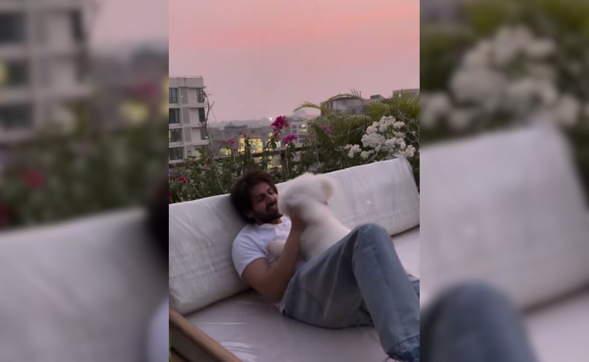 Kartik Aaryan Shares An Adorable Post With His Pet Pooch: "Happiness Is Coming Back Home To Katori"
