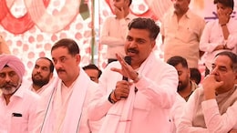 राजस्थान में बाघों की सुरक्षा पर संकट! टीकाराम जूली बोले- 35 लापता बाघों की हो न्यायिक जांच