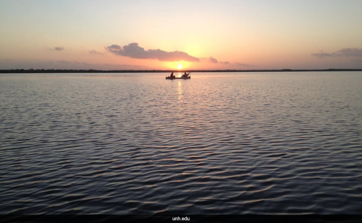 Latest and Breaking News on NDTV