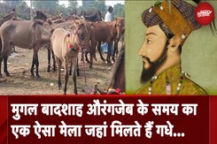 Aurangzeb के समय का एक ऐसा मेला जहां मिलते हैं गधे और खच्चर | NDTV India Aurangzeb के समय का एक ऐसा मेला जहां मिलते हैं गधे और खच्चर | NDTV India