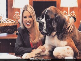 Pam Bondi, Donald Trump's Pick For Top Lawyer, Got Sued For "Stealing" A Dog Pam Bondi, Donald Trump's Pick For Top Lawyer, Got Sued For "Stealing" A Dog