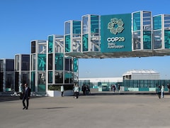 COP29 Climate Summit: What Is A Carbon Credit? What Is Article 6? Top Questions Answered