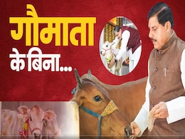 गौसेवकों के लिए खुशखबरी, CM मोहन ने गोवर्धन पूजा पर किया ऐलान, MP के गौपालकों मिलेगा क्रेडिट कार्ड गौसेवकों के लिए खुशखबरी, CM मोहन ने गोवर्धन पूजा पर किया ऐलान, MP के गौपालकों मिलेगा क्रेडिट कार्ड